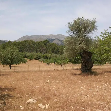 Guillo- 300 Jahre Geschichte An Einem Zeitlosen Ort By Interhome